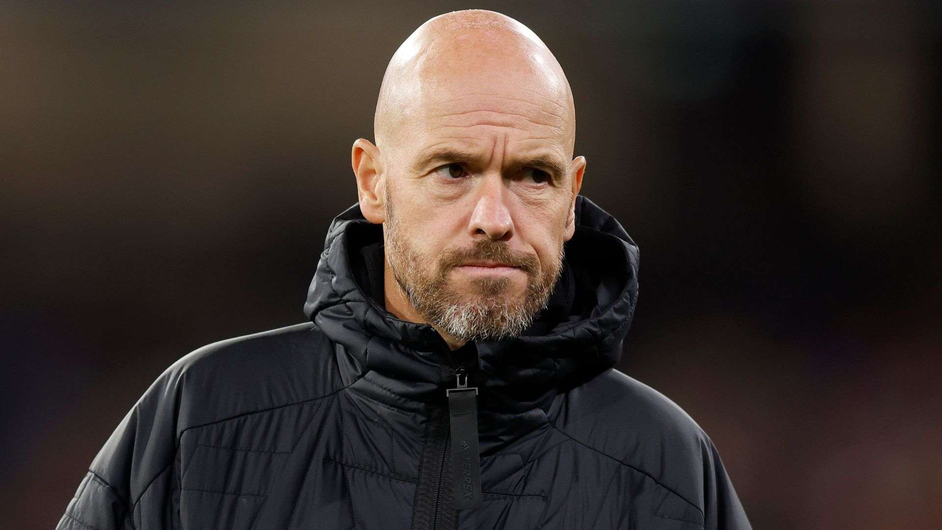 它們需要以 它們需要以